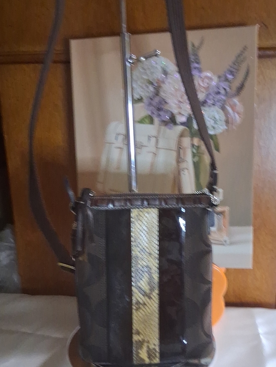 Coach Handbags - Coach Brown Crossbody with Snakeskin-Pattern Center Stripe